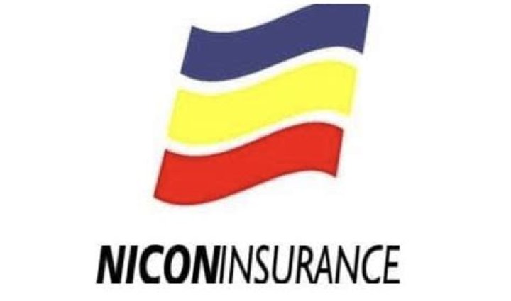 Who is the owner of Nicon insurance?