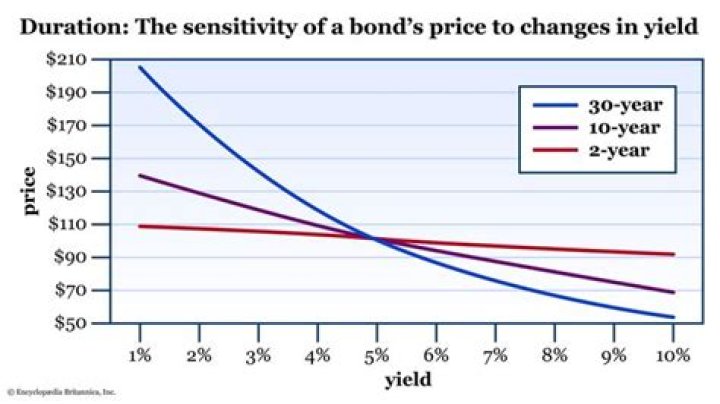 Why do longer maturity bonds have higher yields?