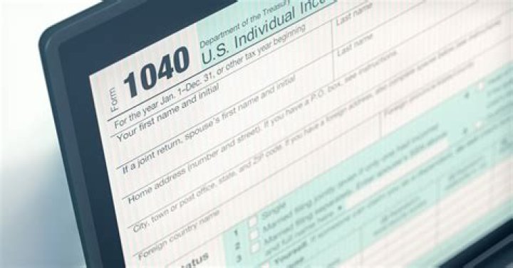 Why do people use online tax filing software?