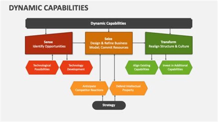 Why dynamic capabilities perspective can complement resource-based view?