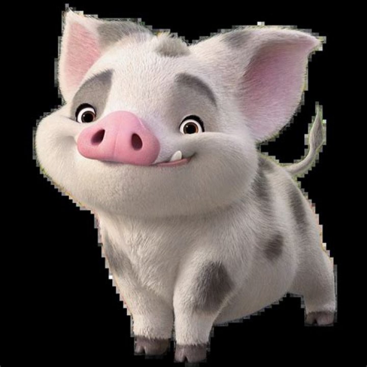 Will Pua be extended in Georgia?